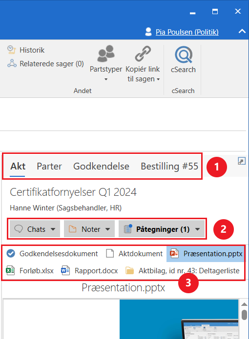 case preview functions
