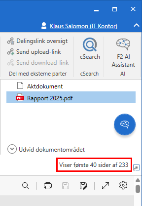 Figur 3, som viser meddelelsen 'Viser første 40 sider af 233' under det valgte dokument i dokumentområdet.