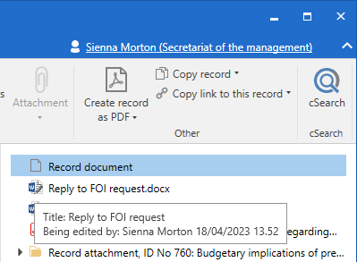 document editing preview icon