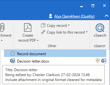 document editing preview icon