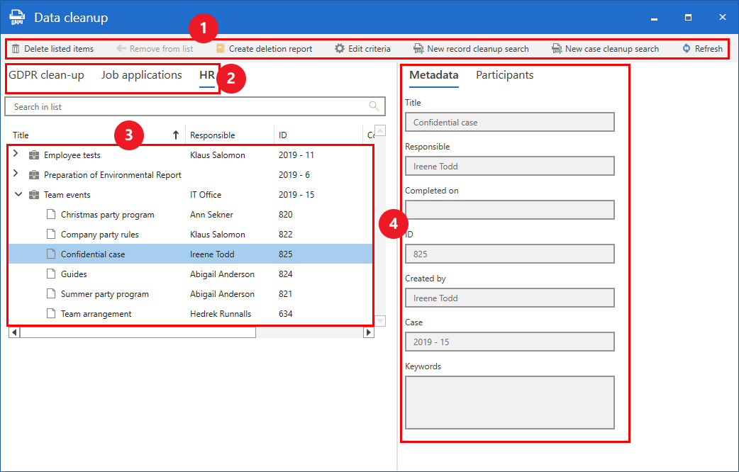 data cleanup window