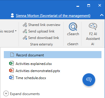 icons document area